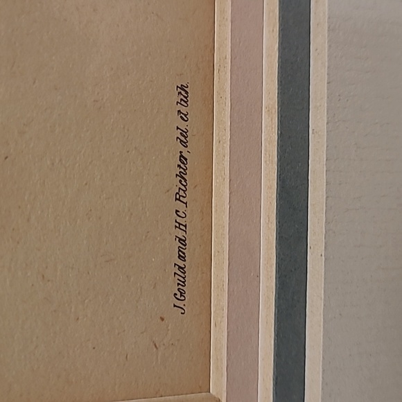 J. Gould and HC Richter Comete Phaon Hummingbirds Lithograph - Picture 10 of 17